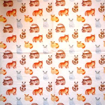 999.150 Cats - 3-ply -